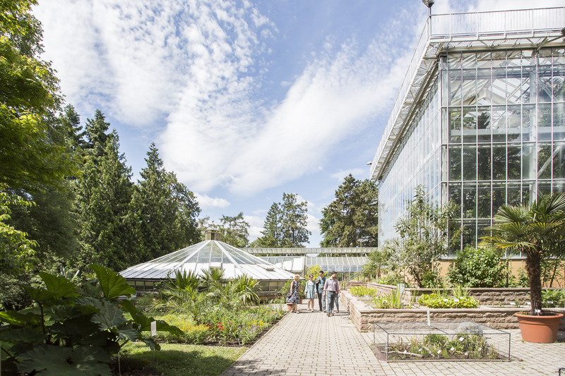 Der Botanische Garten öffnet seine Tore: ich will wissen!