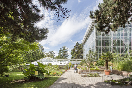 Foto: Botanischer Garten der MLU