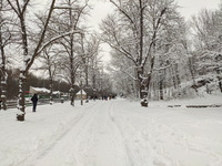 Foto: Die Peißnitz ist voller Schnee (Bild öffnet vergrößert)