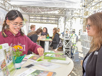 Eine Studentin berät zu den Angeboten der Universität. (Bild öffnet vergrößert)